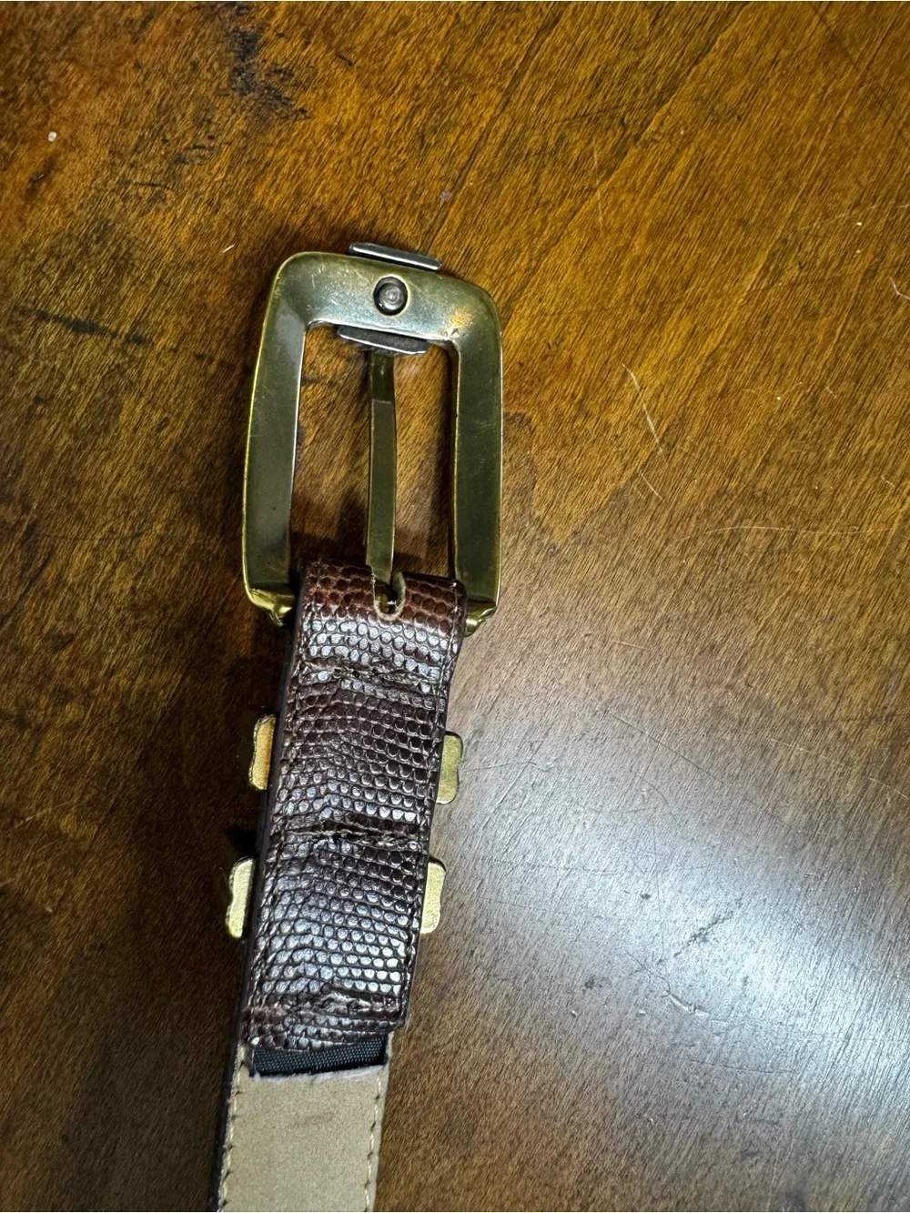 Brighton Brown Lizard-Embossed Leather Belt with Brass Buckle